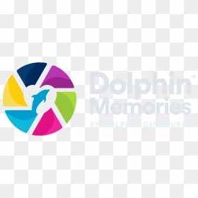 Dolphin Discovery Memories , Png Download - Graphic Design, Transparent Png - memories png