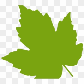 Download Leaf Images Clip Art - Green Leaves Clip Art, HD Png Download - cartoon leaf png