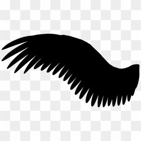 Black Angel Wings Side View, HD Png Download - wing silhouette png