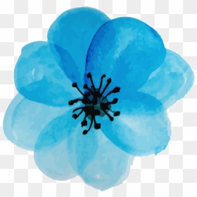 Corn Poppy, HD Png Download - water color flower png