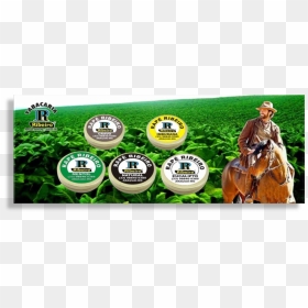 Distribuidor De Cigarro De Palha - Grass, HD Png Download - cigarro png