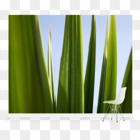 Grass, HD Png Download - blades of grass png
