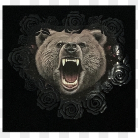 Grizzly Bear, HD Png Download - angry bear png