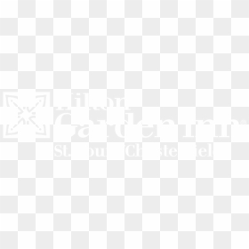 Johns Hopkins Logo White, HD Png Download - st louis arch png