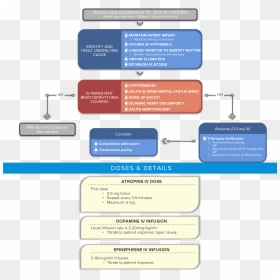 Algorithm Acls Bradycardia With A Pulse - Bradycardia Ventricular Tachycardia Acls Algorithm, HD Png Download - pulse line png