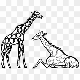 Giraffes Black And White, HD Png Download - giraffe clipart png
