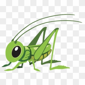 Grasshopper Cartoon Png, Transparent Png - insects png