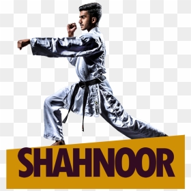 Syed Shahnoor Hussain Zaidi Karate Kid Magnus Sports - Poster, HD Png Download - karate kid png
