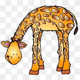Zoo Animal Clipart, HD Png Download - giraffe clipart png