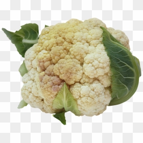 Cauliflower Png Image - Cauliflower Purepng, Transparent Png - cauliflower png