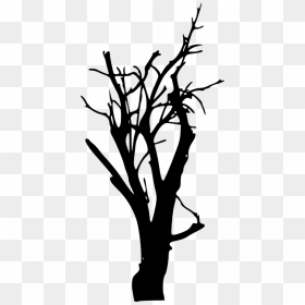 Bare Tree Images At - Skinny Tree Clip Art Black And White, HD Png Download - empty tomb png