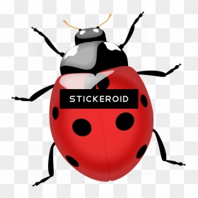 Termite Bugs Insects - Lady Beetle Png, Transparent Png - insects png