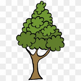 Cartoon Tree 6, HD Png Download - tree png cartoon