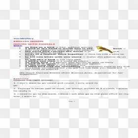 Document, HD Png Download - biblia abierta png