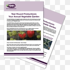 The Annual Vegetable Garden Module - Flyer, HD Png Download - vegetable garden png