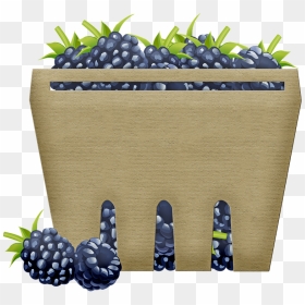 Blueberry, HD Png Download - blackberries png