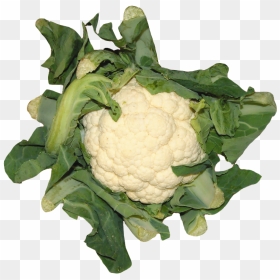 Cauliflower, HD Png Download - cauliflower png
