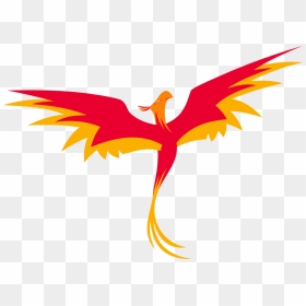 Transparent Phoenix Vector - Phoenix Bird My Little Pony, HD Png Download - phoenix wings png