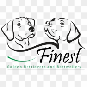 Finest Golden Retrievers And Rottweilers Is A Family - Paint Labrador Head, HD Png Download - family vector png