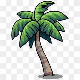 Palm Tree Png - Tropical Palm Trees Png, Transparent Png - tree png cartoon