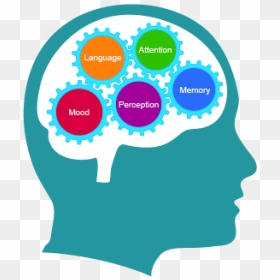 Memories Clipart Brain Science - Transparent Cognitive Clipart, HD Png Download - memories png