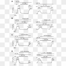 Diagram, HD Png Download - free entry png