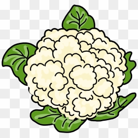 Cauliflower Drawing Animated - Easy How To Draw Cauliflower, HD Png Download - cauliflower png