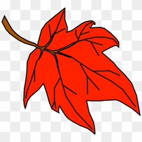 Fall Leaves Clip Art, HD Png Download - red leaf png