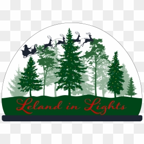 Pine Trees Vector, HD Png Download - christmas tree lights png