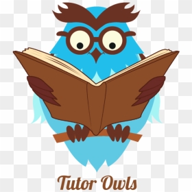 Tutor Owls - Creative Tutor Owl, HD Png Download - owls png