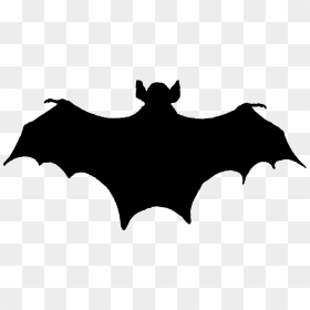 Bat Silouete, HD Png Download - halloween .png