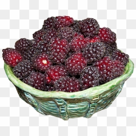 Bowl Of Berries Png, Transparent Png - blackberries png