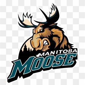 Moose Clipart Hockey - Manitoba Moose Logo, HD Png Download - moose head png