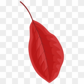 Black Tupelo Red Leaf Clipart - Illustration, HD Png Download - red leaf png