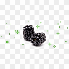 Mora En Español Y Ingles, HD Png Download - blackberries png