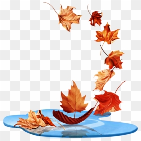 Maple Leaf, HD Png Download - fall leaves falling png