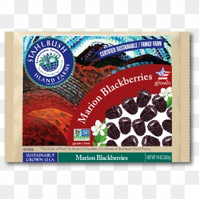 Stahlbush Island Farms, HD Png Download - blackberries png