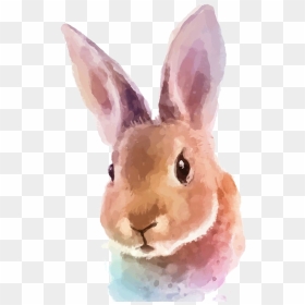 Vector Rabbit Watercolor - Easter Rabbits In Watercolours, HD Png Download - rabbit silhouette png