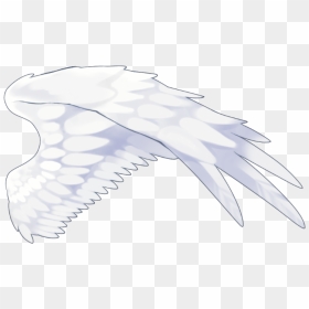 #wing #wings #angel #angelwings #whitewings #aesthetic - Paper, HD Png Download - angel wings png tumblr