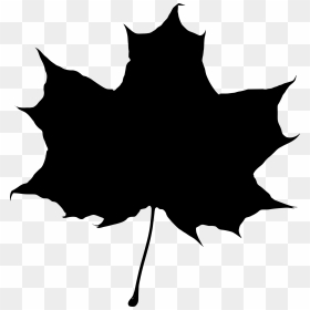 Maple Leaf Drawing Silhouette - Leaf Silhouette Free Vector, HD Png Download - fall leaves falling png