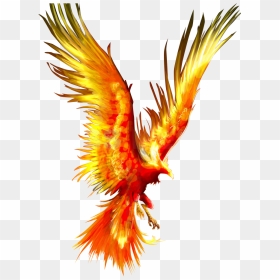 Tattoo Fireworks Mythology Firebird Phoenix Download - Phoenix Firebird, HD Png Download - phoenix wings png