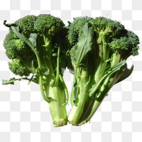 Broccoli Dsc00861 - Foods Containing Fluoride, HD Png Download - brocoli png