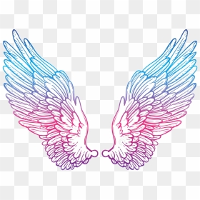 Wing Clipart Picsart - Drawing Color Angel Wings, HD Png Download - angel wings png tumblr
