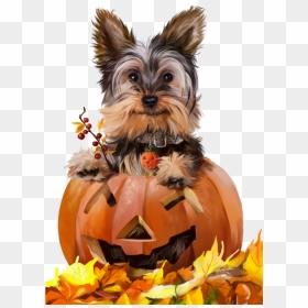 Happy Halloween With Animals, HD Png Download - halloween .png