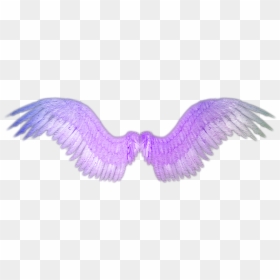 Transparent Background Angel Wings Png, Png Download - angel wings png tumblr