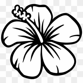 Black And White Flower Clipart - Hibiscus Flower Coloring Page, HD Png Download - black and white flowers png