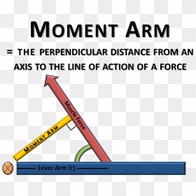 Moment Arm, HD Png Download - muscle arms png