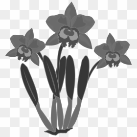 Flowers Public Domain, HD Png Download - black and white flowers png