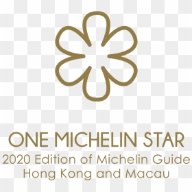 Circle, HD Png Download - michelin logo png