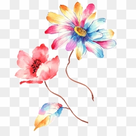 Colorful Gradient Hand Drawn Chrysanthemum Decorative - Artificial Flower, HD Png Download - colorful flowers png